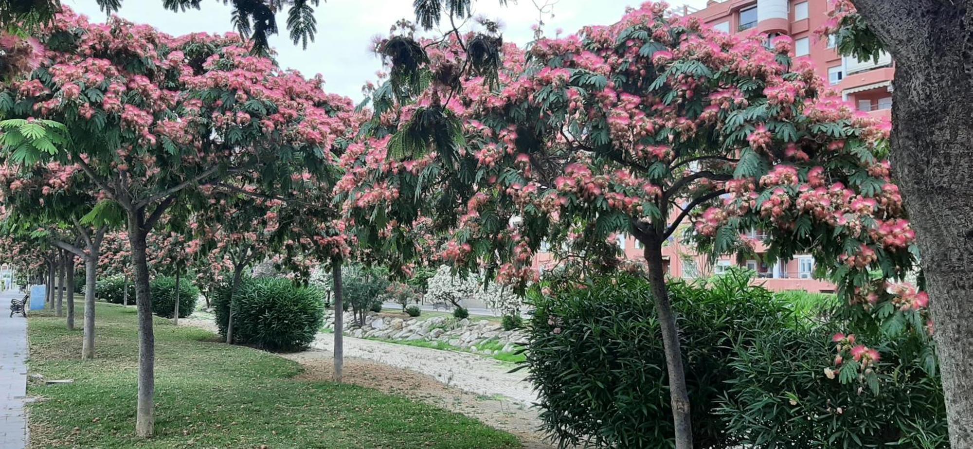 Apartment Las Salinas Boliches ฟูเอนฮิโรลา ภายนอก รูปภาพ